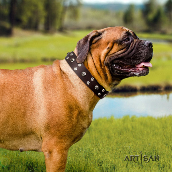 Bullmastiff basic training dog collar of best quality natural leather