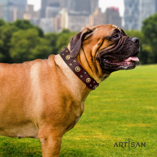 Bullmastiff easy wearing dog collar of fine quality genuine leather