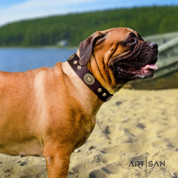 Bullmastiff everyday use dog collar of trendy natural leather