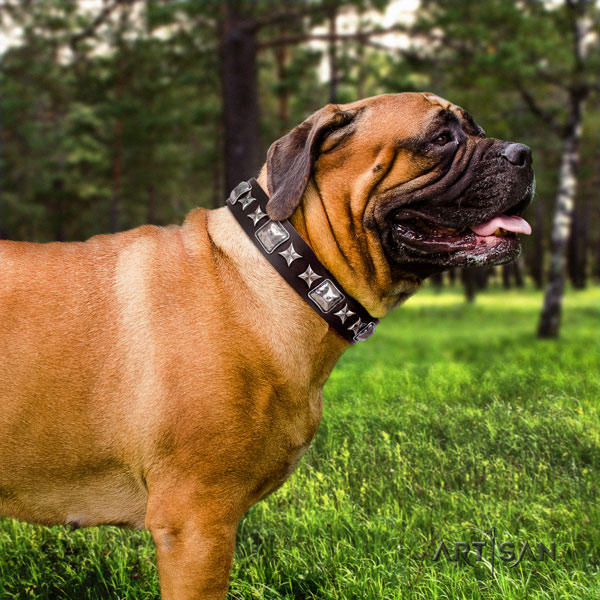 Bullmastiff daily walking dog collar of soft natural leather