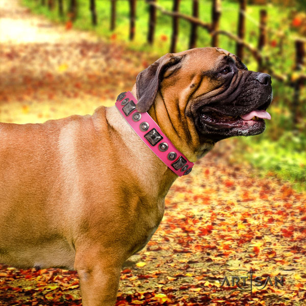 Bullmastiff everyday walking dog collar of comfortable leather
