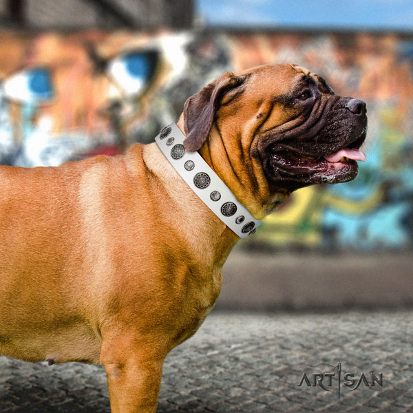 Bullmastiff daily walking dog collar of fashionable natural leather