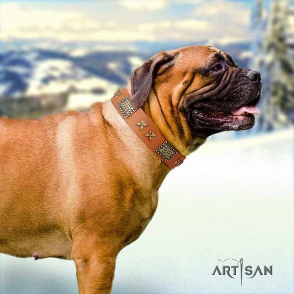 Bullmastiff easy wearing dog collar of designer natural leather