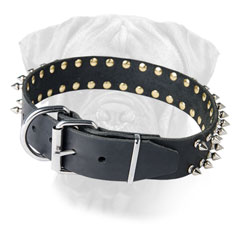 Leather Dog Collar with 2 rows of spikes
