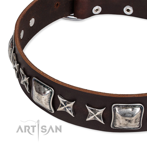 Full grain natural leather dog collar with adornments for daily walking