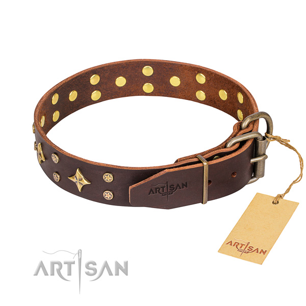 Everyday use full grain genuine leather collar with adornments for your canine