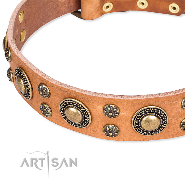 Leather dog collar with remarkable embellishments