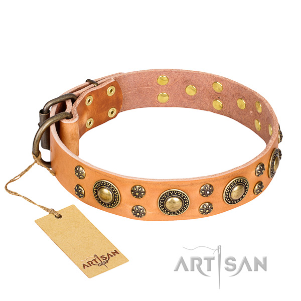 Inimitable genuine leather dog collar for stylish walking