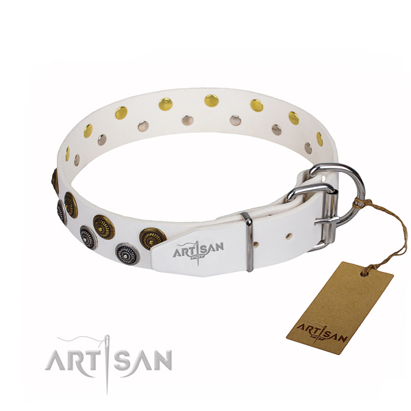 Walking full grain leather collar with adornments for your dog