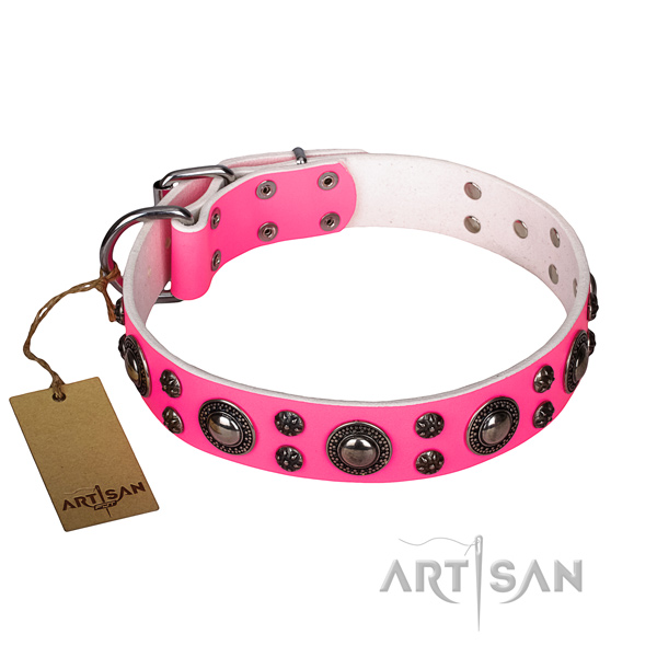 Impressive full grain genuine leather dog collar for handy use