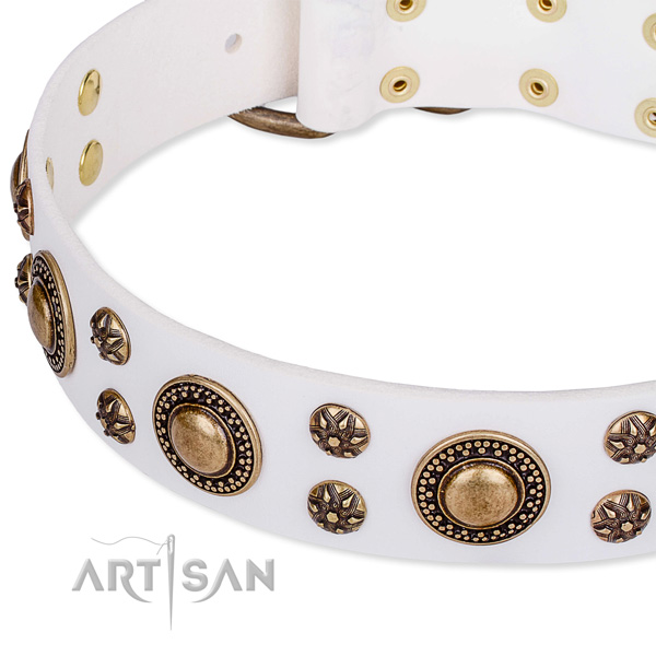 Natural genuine leather dog collar with awesome adornments