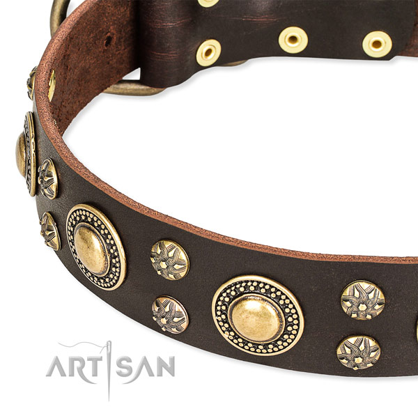 Leather dog collar with top notch decorations