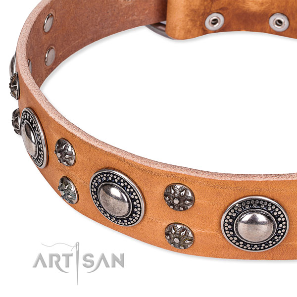 Daily walking full grain natural leather collar with rust resistant buckle and D-ring