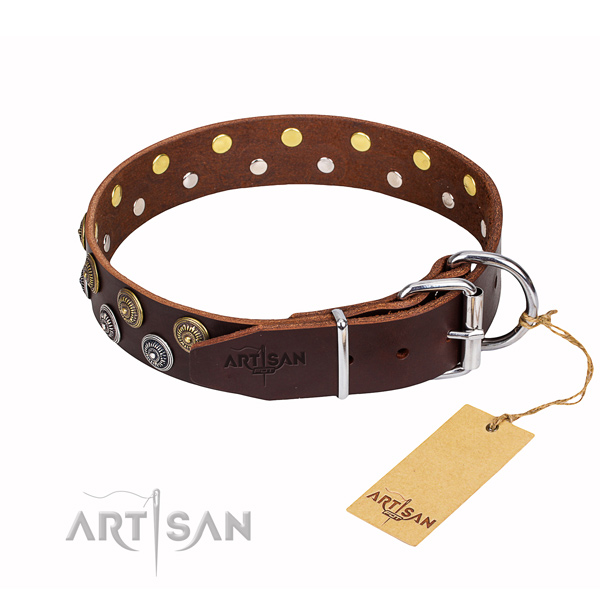 Everyday walking full grain leather collar with embellishments for your pet