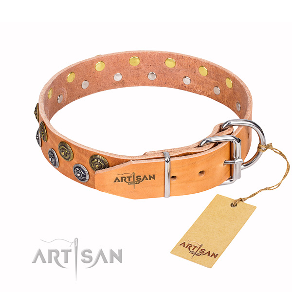 Everyday walking full grain leather collar with embellishments for your pet