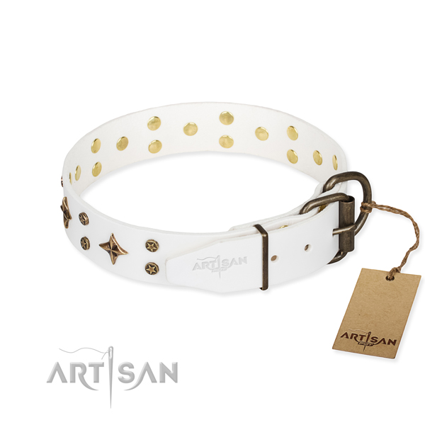 Everyday walking leather collar with embellishments for your doggie