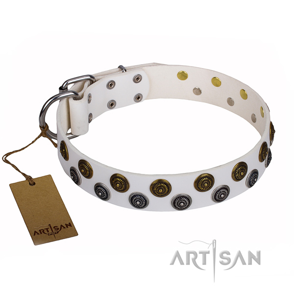Amazing genuine leather dog collar for daily use