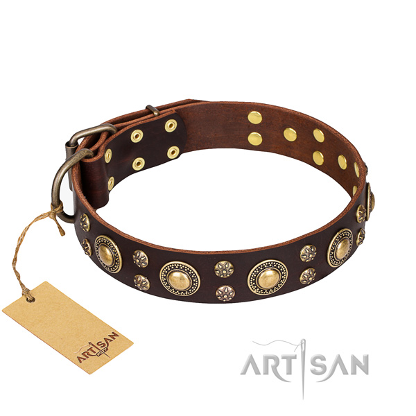 Amazing leather dog collar for handy use