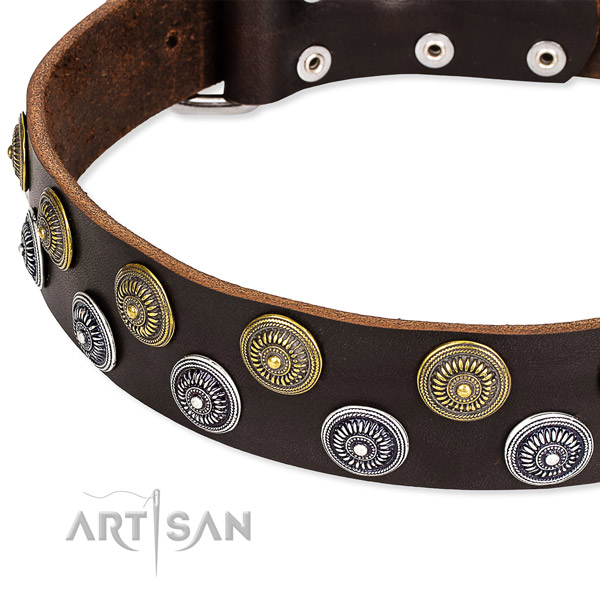 Genuine leather dog collar with amazing embellishments