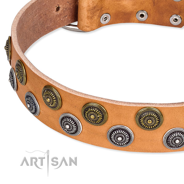 Genuine leather dog collar with amazing embellishments