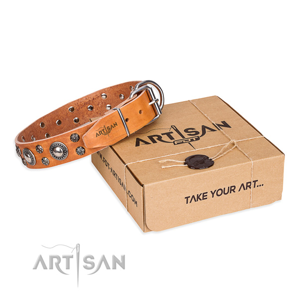 Fashionable full grain leather dog collar for everyday use