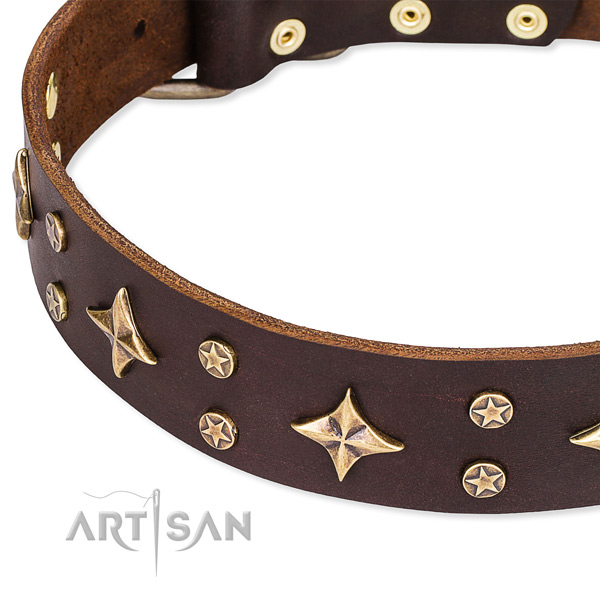 Full grain genuine leather dog collar with fashionable embellishments