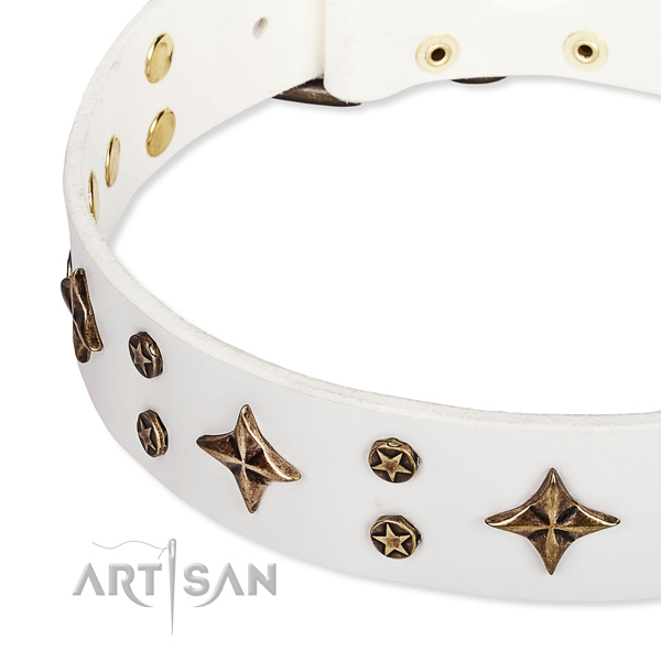 Full grain natural leather dog collar with top notch studs