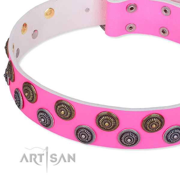 Full grain leather dog collar with unusual studs