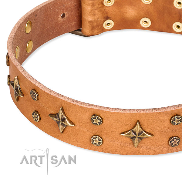 Full grain genuine leather dog collar with significant adornments