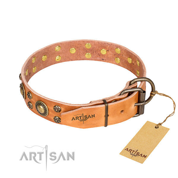 Daily use genuine leather collar with embellishments for your dog