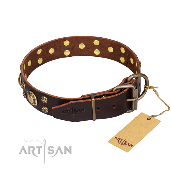 Walking full grain genuine leather collar with embellishments for your canine