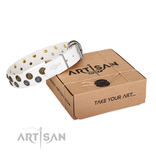 Leather dog collar with adornments for walking