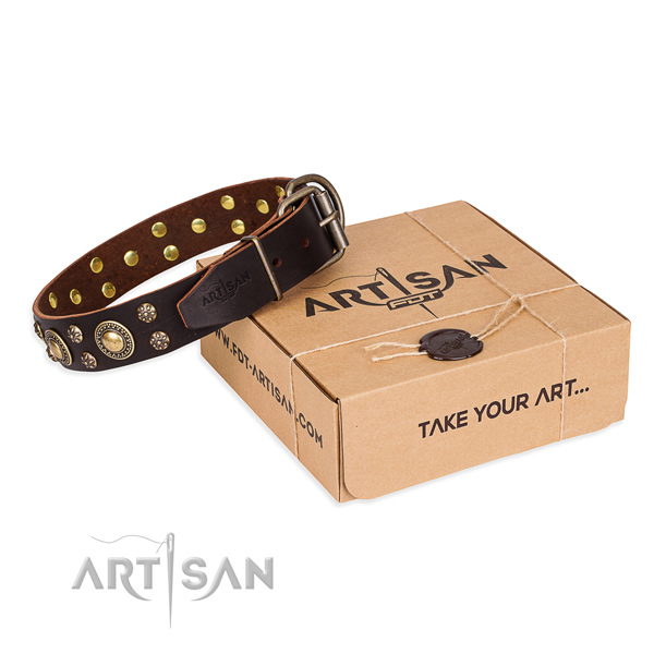 Top notch genuine leather dog collar for walking