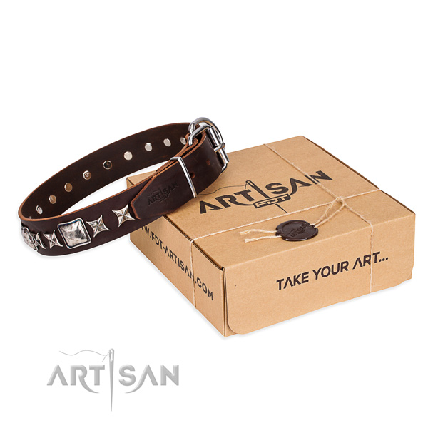 Embellished full grain genuine leather dog collar for stylish walking