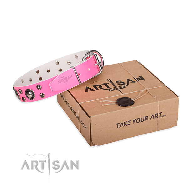 Top quality full grain natural leather dog collar for stylish walking