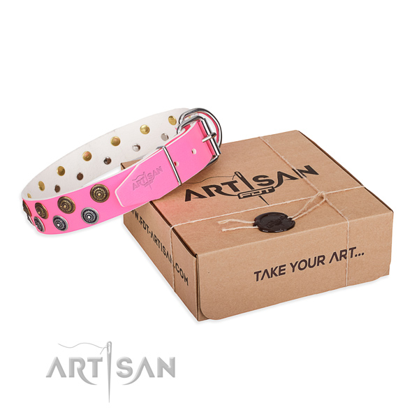 Studded full grain genuine leather dog collar for everyday walking