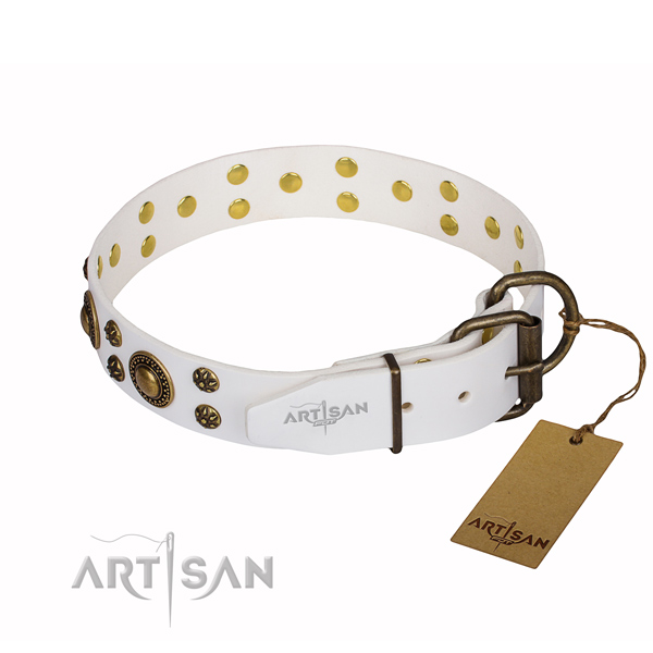 Unique full grain leather dog collar for everyday use