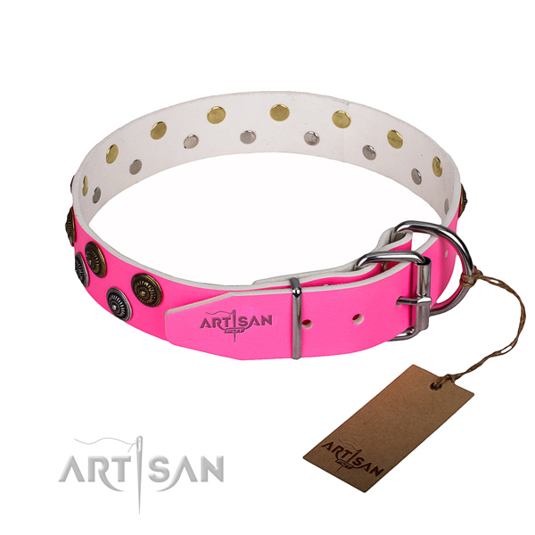 Daily walking natural genuine leather collar with embellishments for your canine