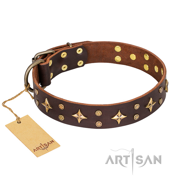 Awesome natural genuine leather dog collar for everyday walking