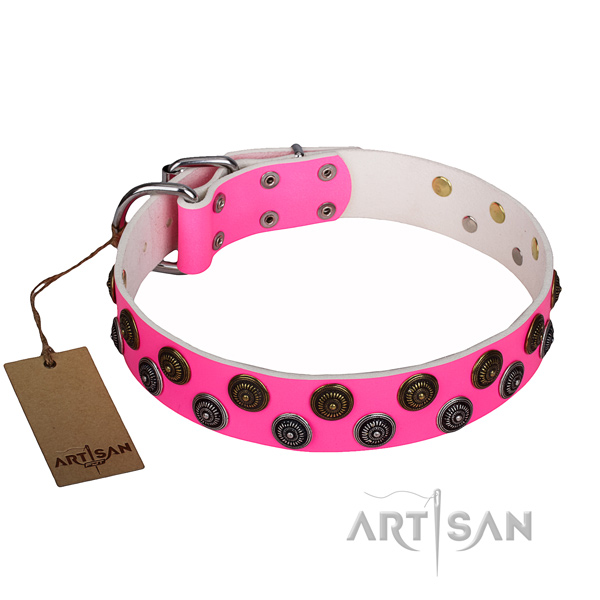Remarkable genuine leather dog collar for everyday use