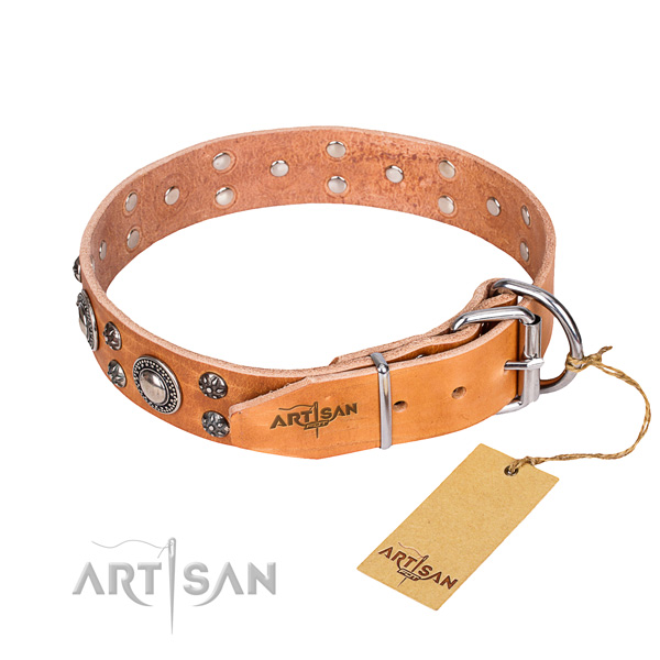 Handy use full grain leather collar with embellishments for your four-legged friend