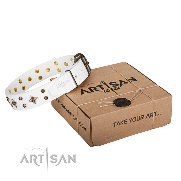 Adorned full grain leather dog collar for walking
