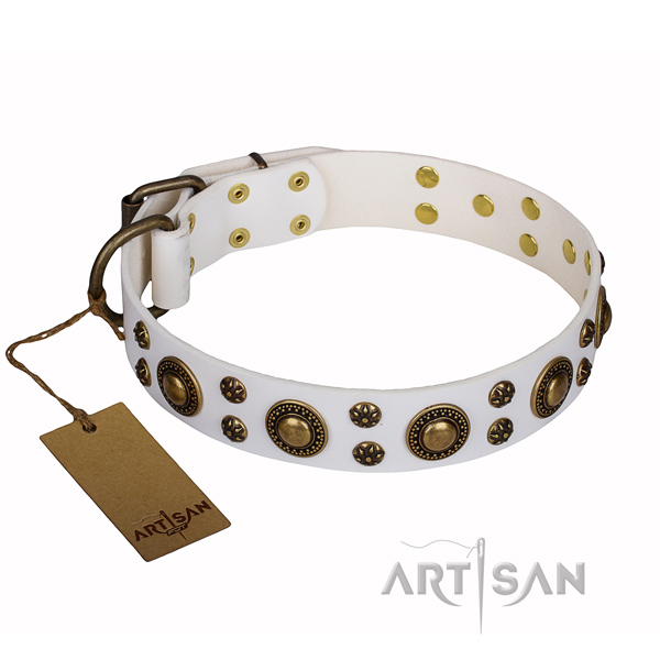 Walking full grain natural leather collar with decorations for your canine