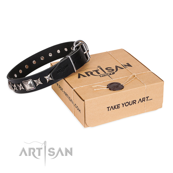 Adorned leather dog collar for stylish walks