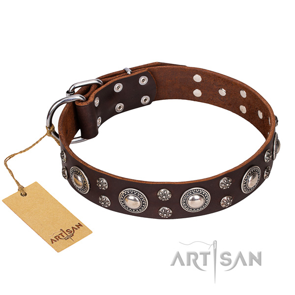 Hardwearing leather dog collar with rust-proof elements
