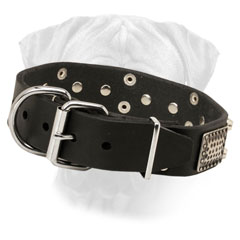 Bullmastiff Leather Collar Adjustable with Nickel Plated Buckle