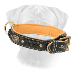 Bullmastiff Collar Leather Braid Designed