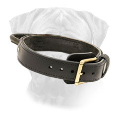 Leather Dog Collar Bullmastiff Brass Plated  Buckle