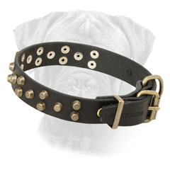 Collar Bullmastiff Leather Decorated Adjustable