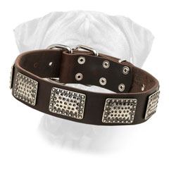 Bullmastiff Leather Collar Decorated Massive Plates for Walking